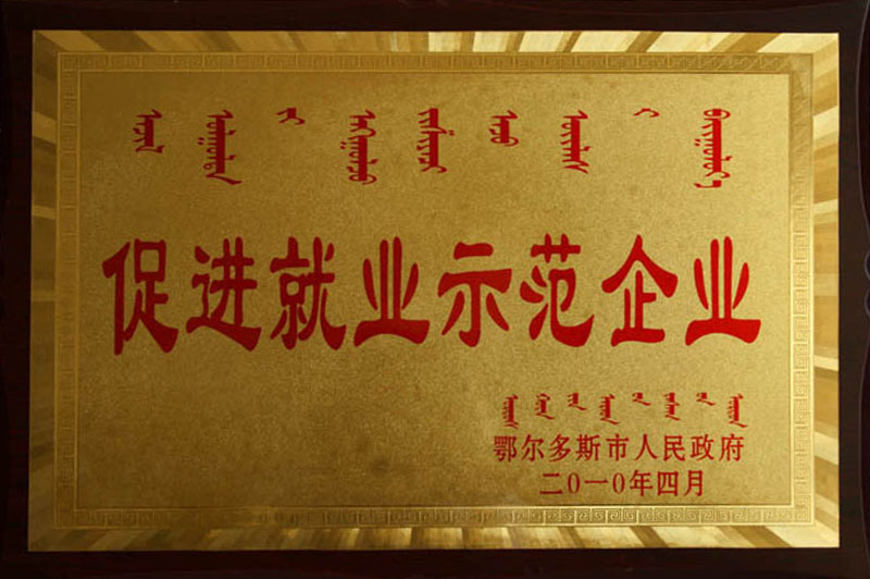 2010鄂市促進就業企業
