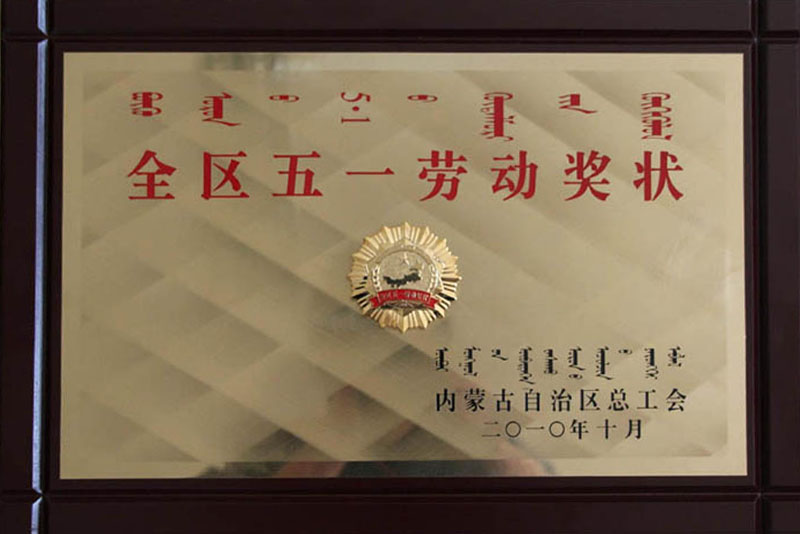 2010自治區五一勞動獎