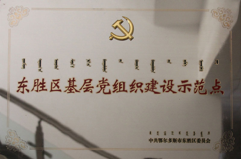 2013東勝區黨組織示范點