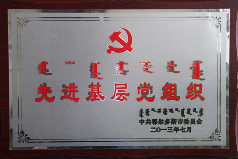 2013鄂市先進基層黨組織